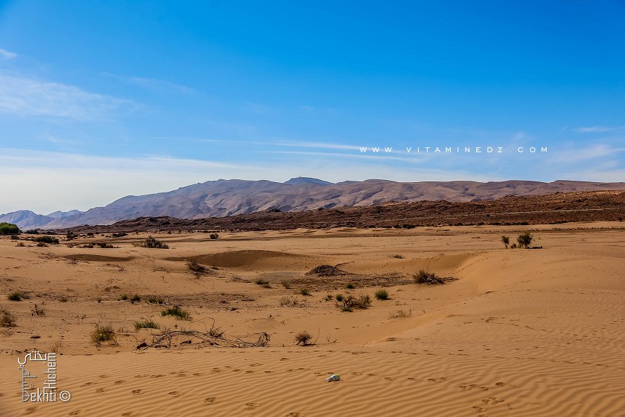 Lit d'Oued au nord d'El Bnoud