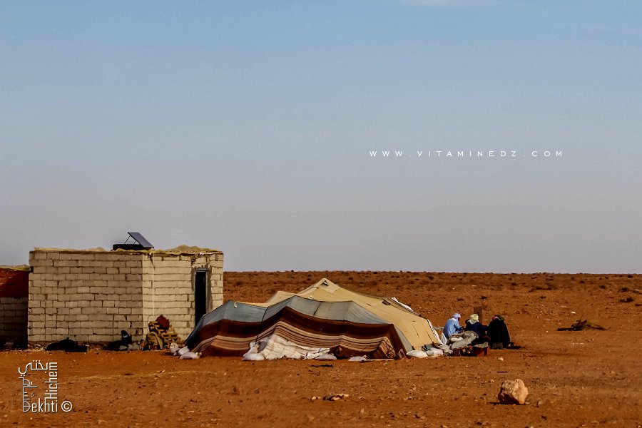 Edjelid : Des bédouins qui se sédentarisent entre el bnoud et Tinerkouk
