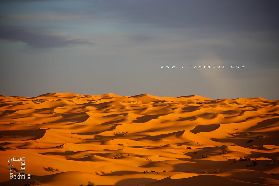 Le Grand Erg Occidental dans toute sa splendeur