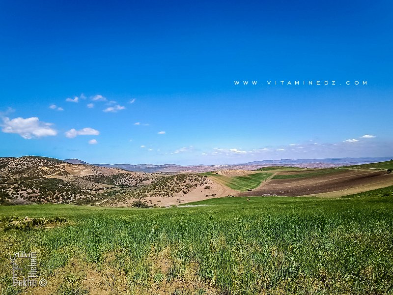La région de Fellaoucene propice pour l'agriculture céréalière