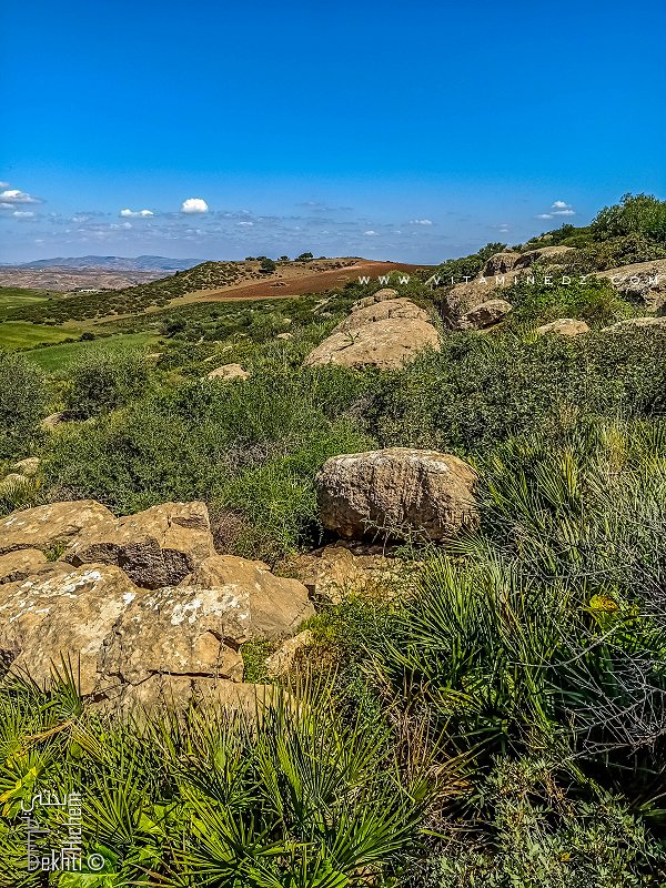 Gros blocs de Pierre (Granite?) non loin de Fellaoucene
