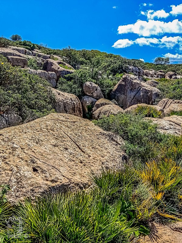 Gros blocs de Pierre (Granite?) non loin de Fellaoucene