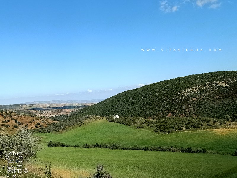 Petit marabout à la Dechra Ouled Bouzbib, non loin de Zaouiet Sidi Benamar