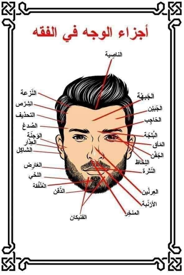 لا يوجد لغة في العالم أقوى وأدقّ وأغنى من اللغة العربية.
