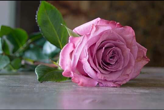 وصفة لحب الشباب و تبييض الوجه و تصفيته