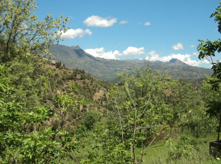 Promenade de printemps