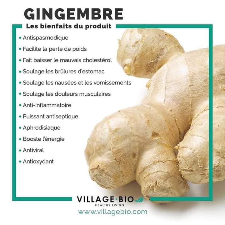 Les bienfaits du gingembre