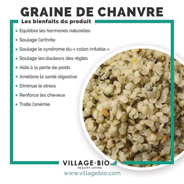 Les bienfaits des graines de chanvre