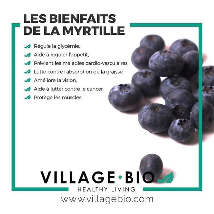 Les bienfaits de la Myrtille