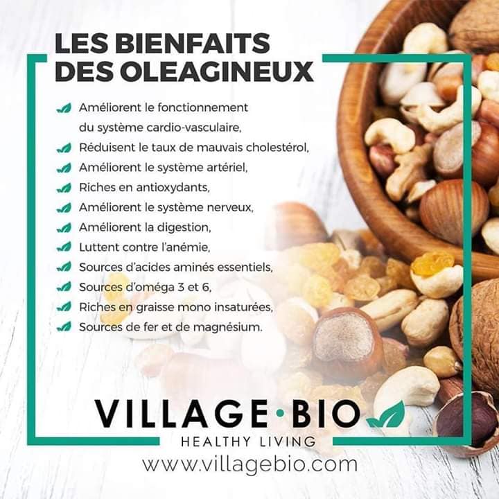 Les bienfaits des oléagineux