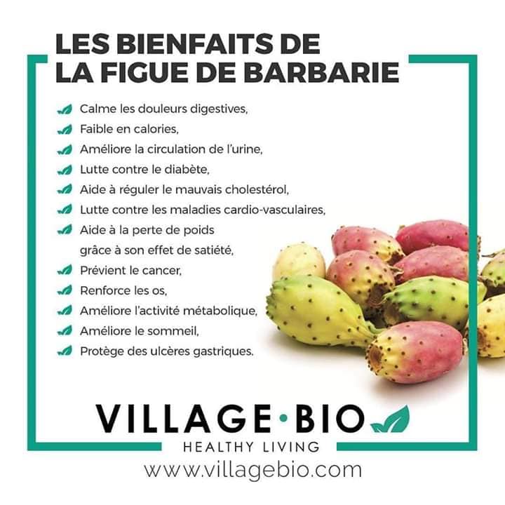 Les bienfaits de la figue de Barbarie