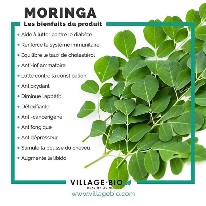 Les bienfaits du Moringa
