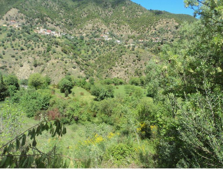 Promenade de printemps