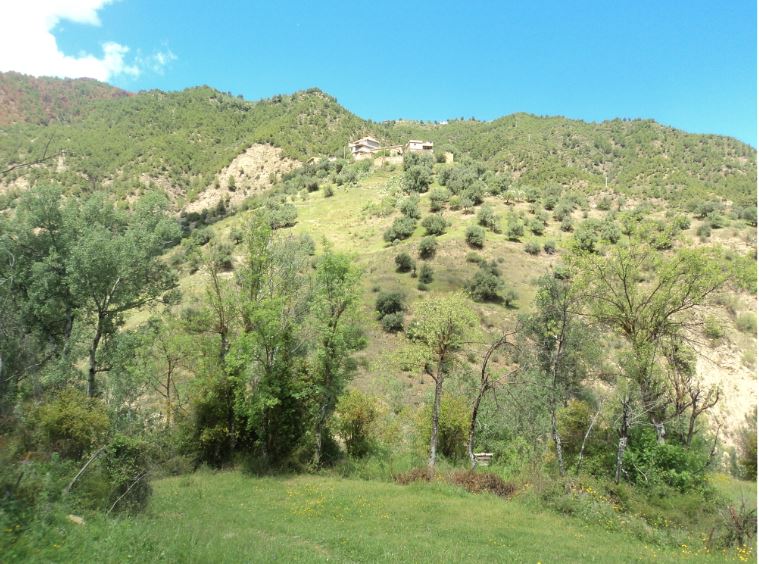 Promenade de printemps