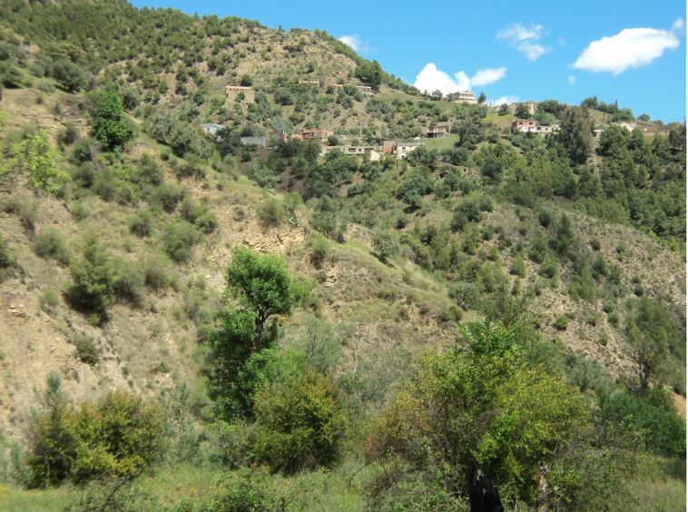 Promenade de printemps