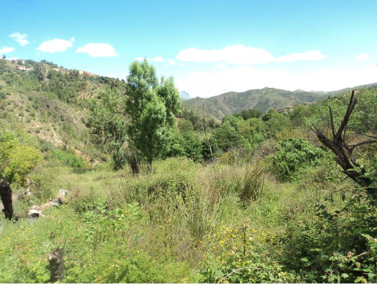 Promenade de printemps