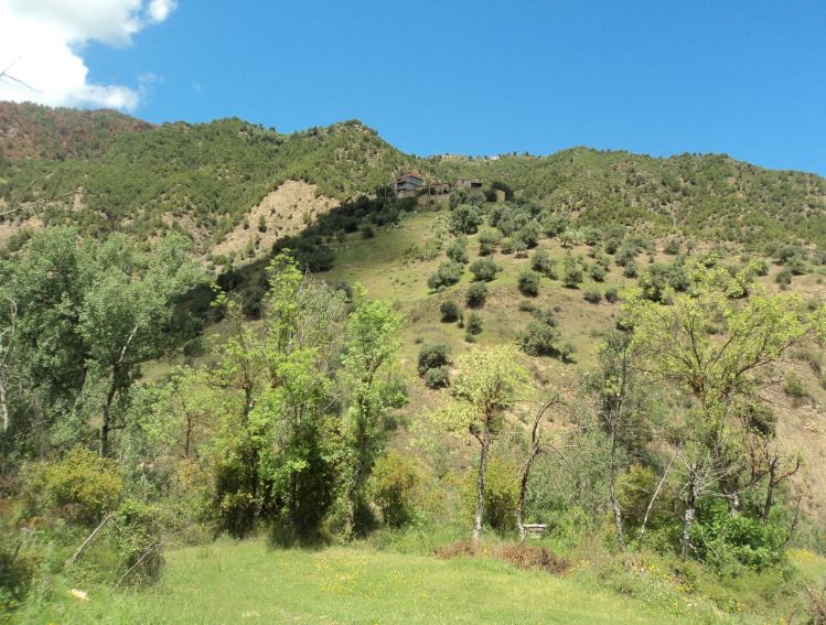 Promenade de printemps