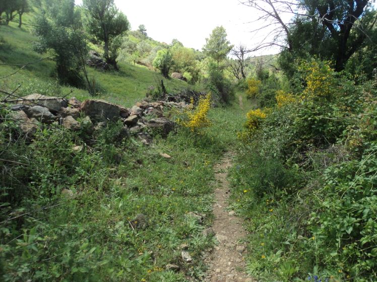 Promenade de printemps