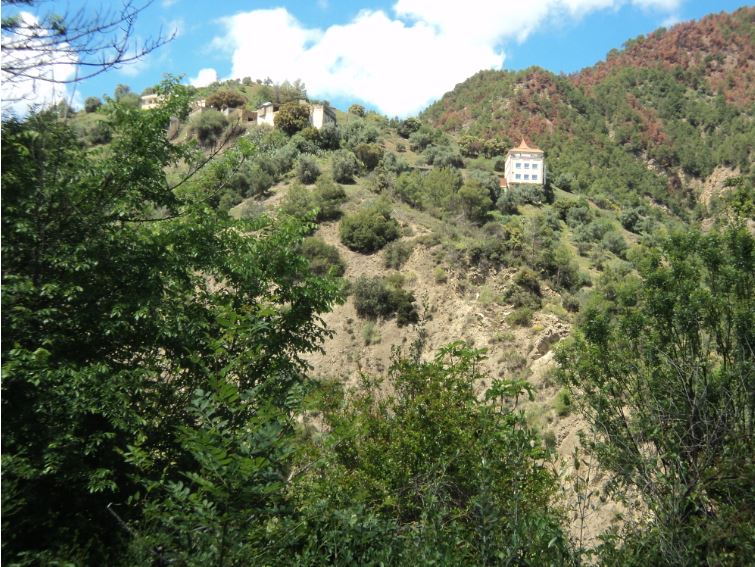 Promenade de printemps