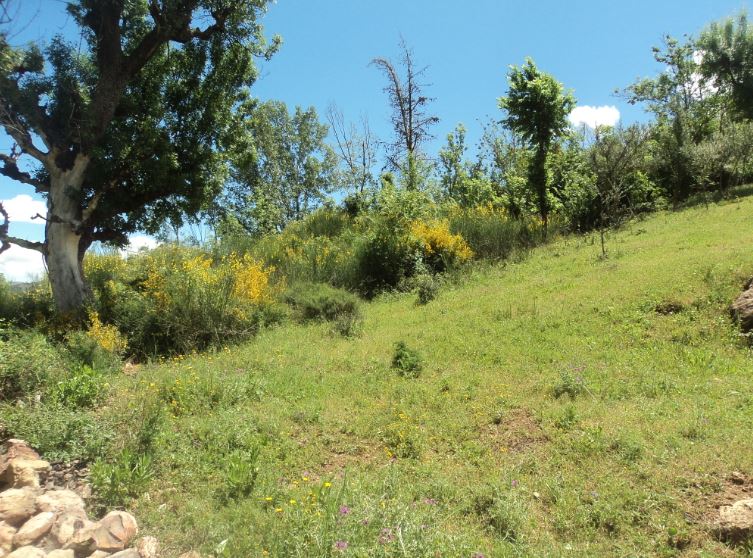 Promenade de printemps