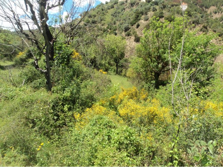 Promenade de printemps