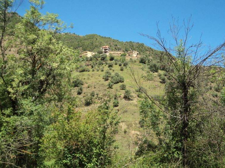 Promenade de printemps