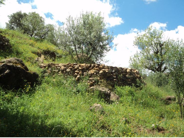 Promenade de printemps