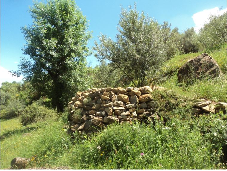 Promenade de printemps