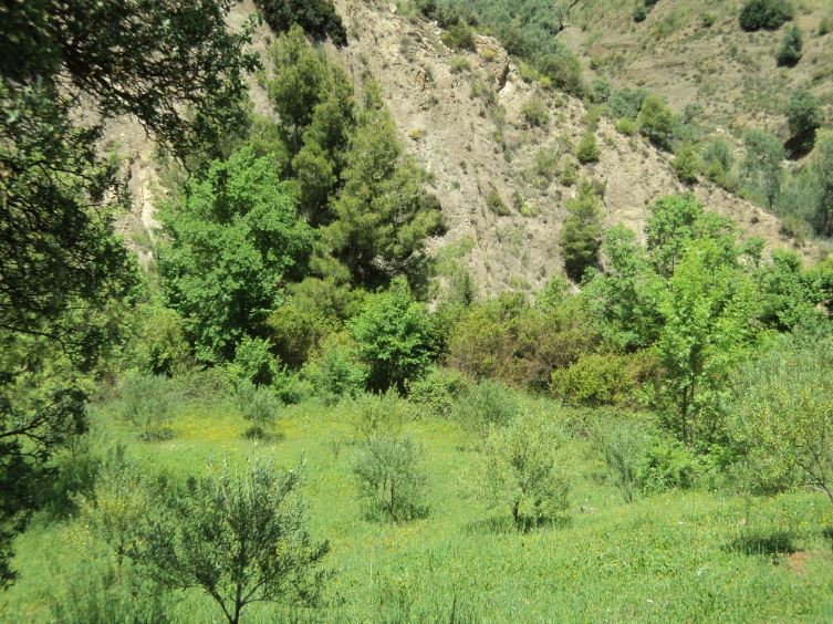 Promenade de printemps