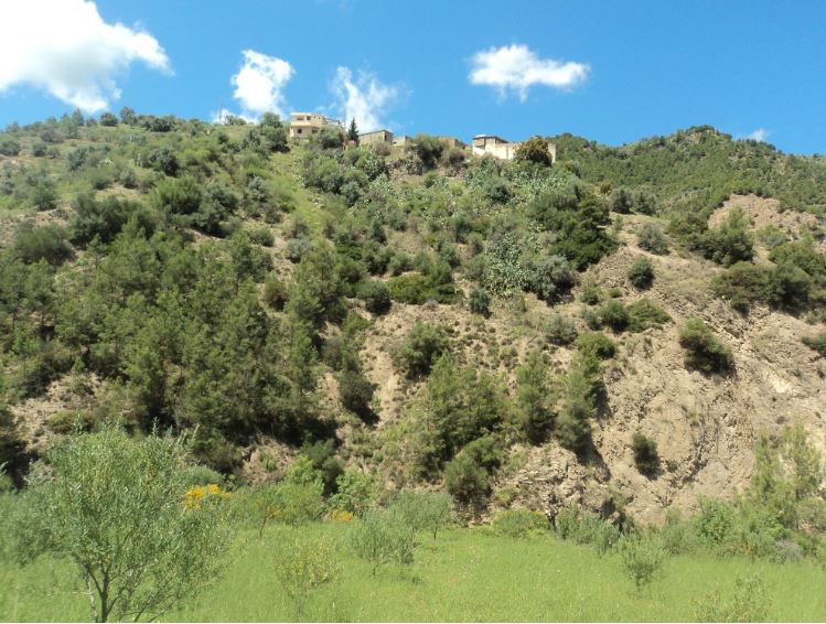 Promenade de printemps