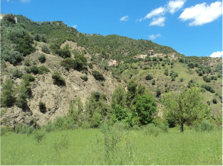 Promenade de printemps