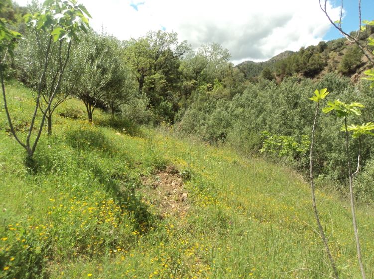Promenade de printemps