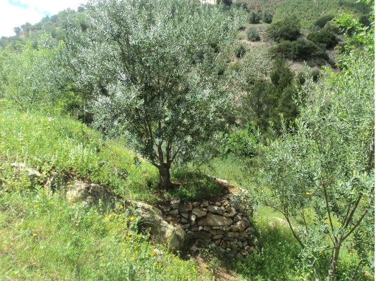 Promenade de printemps
