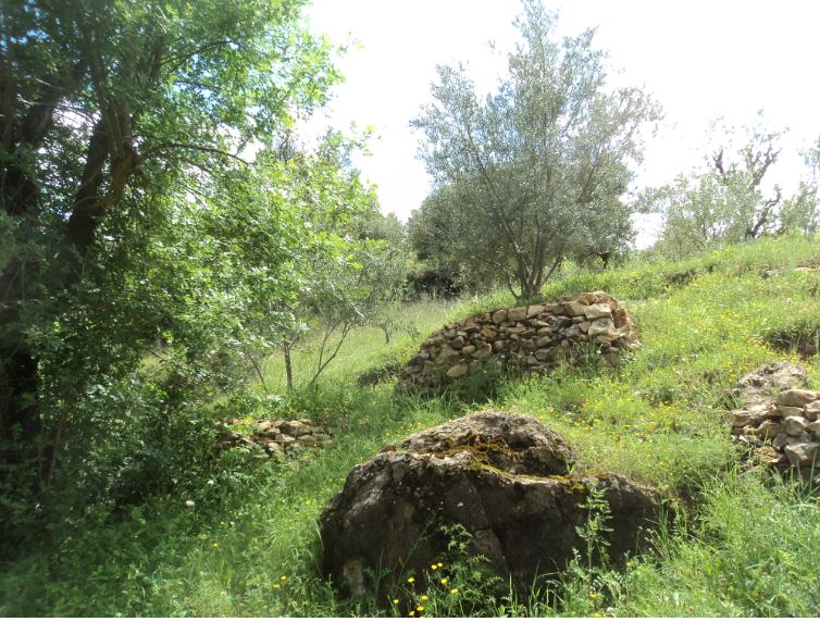Promenade de printemps