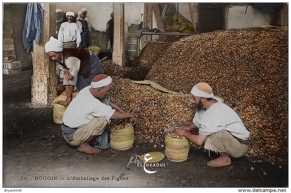 bejaia année 1900 emballage des figues sèches