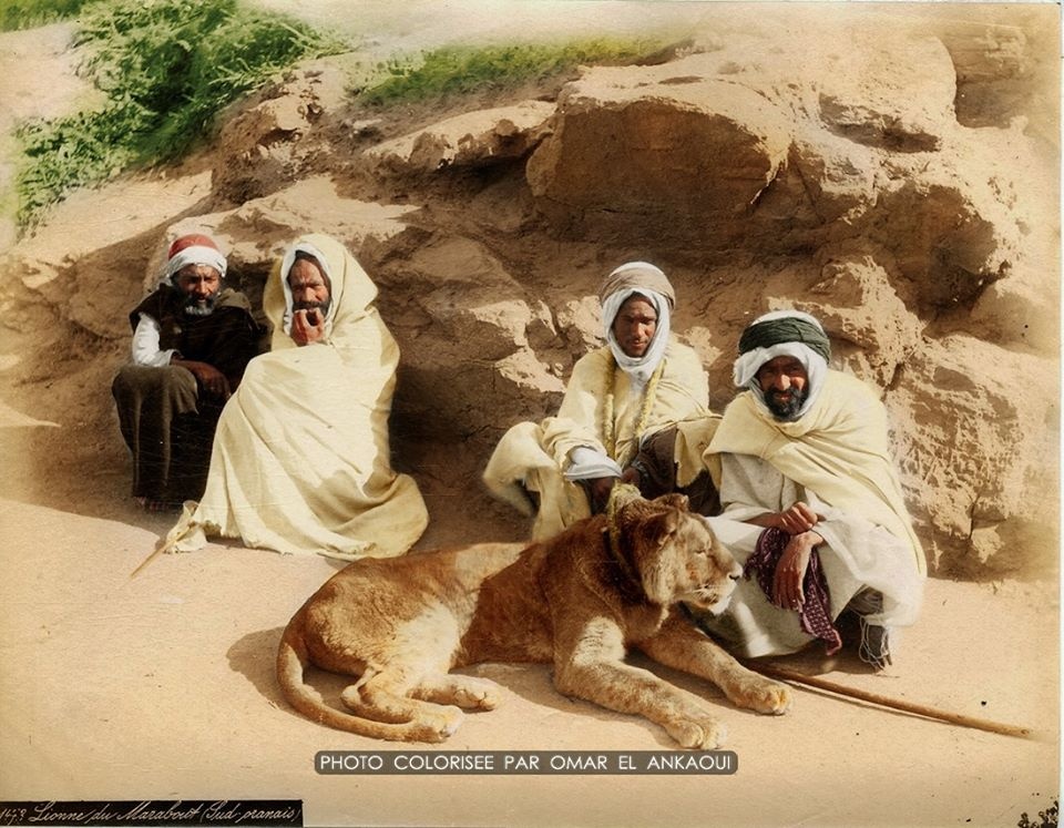 (اللسان لَحْلُو يَرْضَعْ اللّبّة)