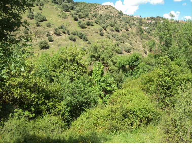 Promenade de printemps