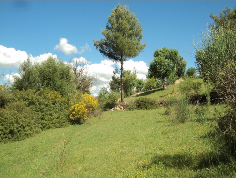 Promenade de printemps