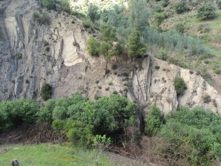 Promenade de printemps