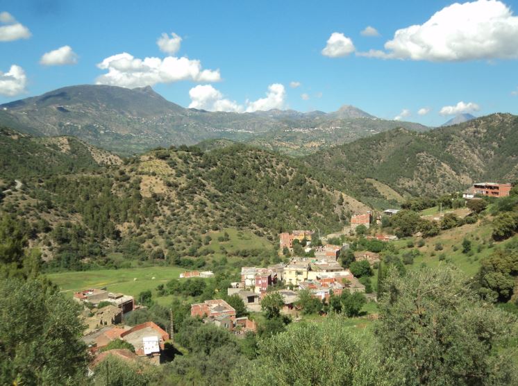 Promenade de printemps