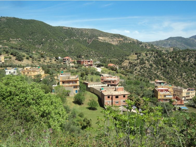 Lemroudj au printemps