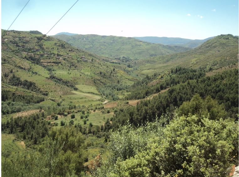 Lemroudj au printemps