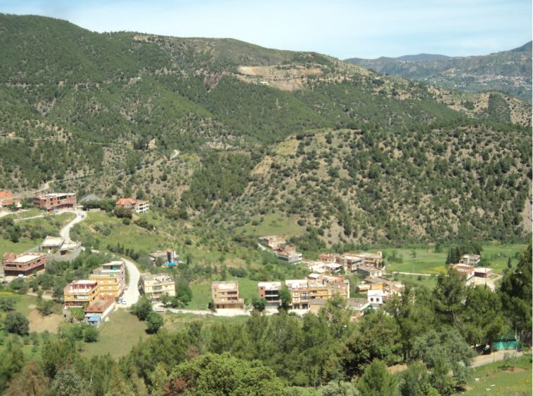 Lemroudj au printemps