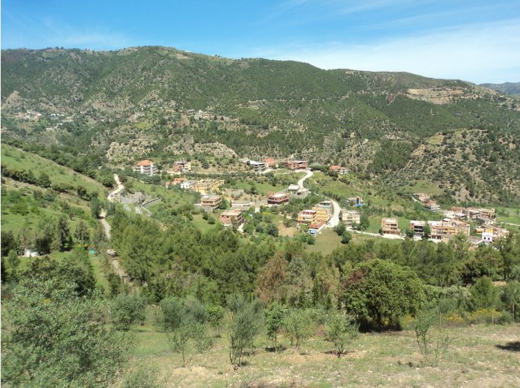 Lemroudj au printemps