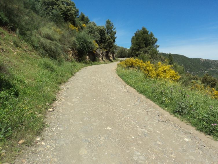 Lemroudj au printemps