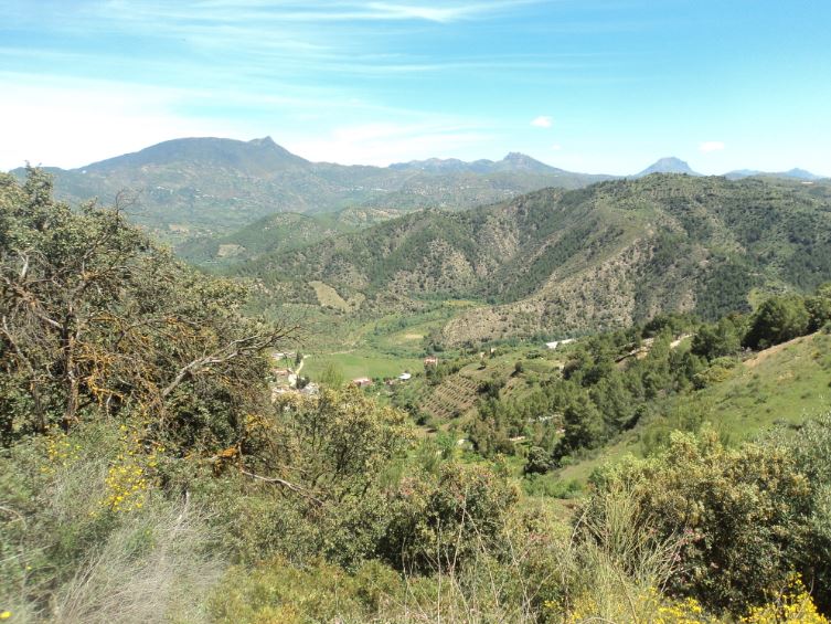 Lemroudj au printemps