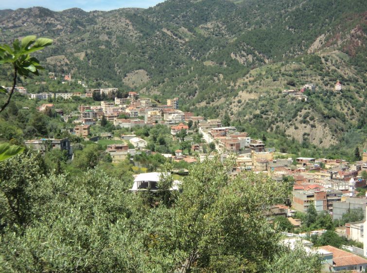 Lemroudj au printemps