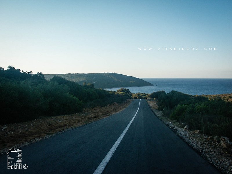 Route vers Plage Cap Rosa (El Kala , wilaya El Taref)