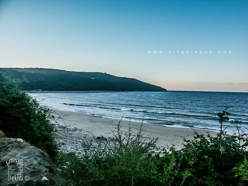 La belle plage du Cap Rosa (El kala)