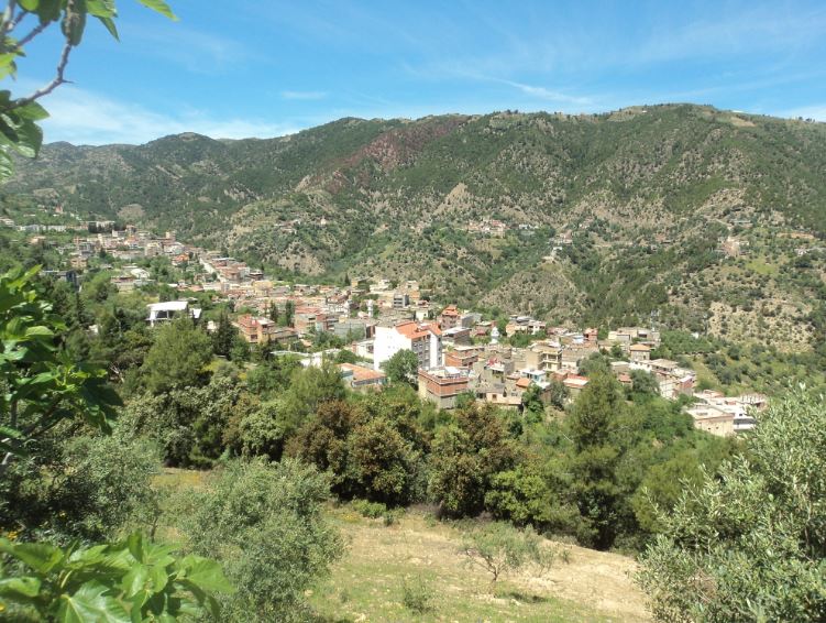 Lemroudj au printemps